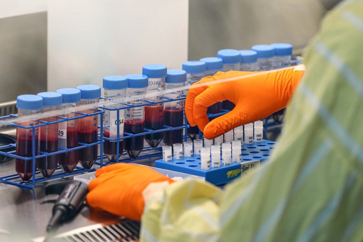 De Kondo al&nbsp;laboratorio