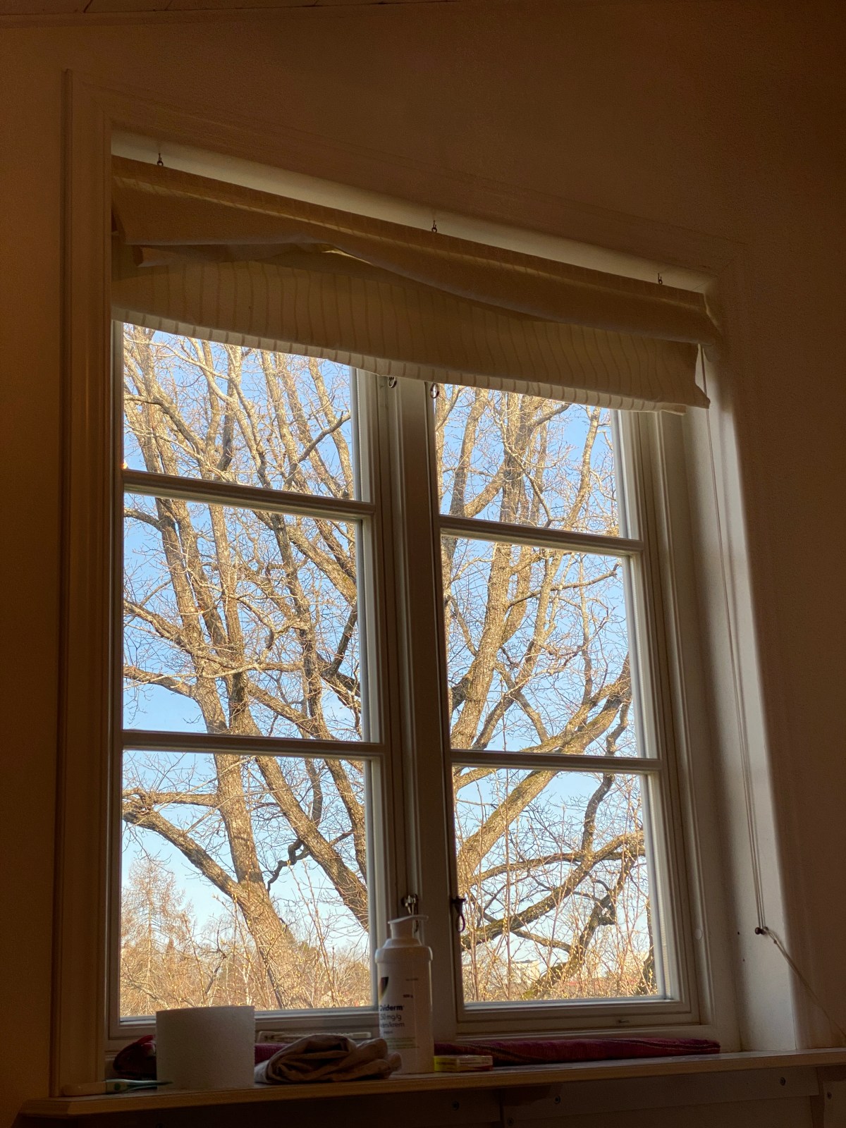 Estoy de regreso después de una odisea con HIV y&nbsp;COVID-19.